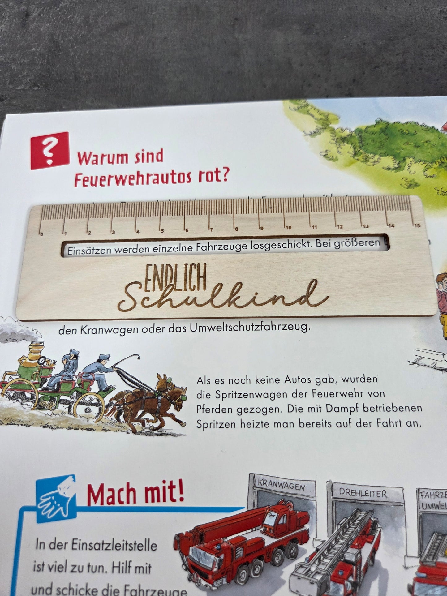 Lesehilfe aus Holz für Erstklässler | Geschenk Schultüte 2026
